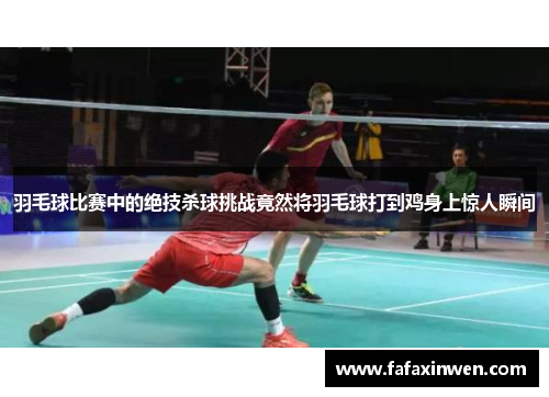 羽毛球比赛中的绝技杀球挑战竟然将羽毛球打到鸡身上惊人瞬间