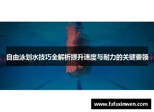自由泳划水技巧全解析提升速度与耐力的关键要领