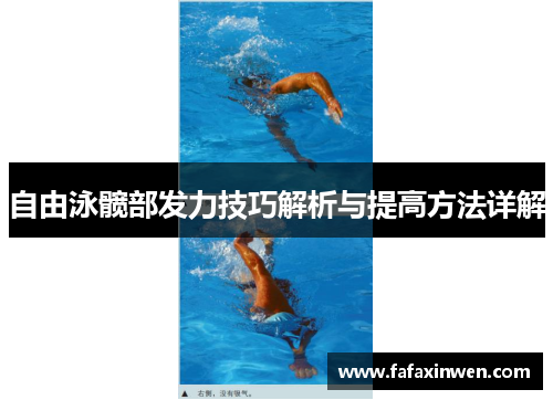 自由泳髋部发力技巧解析与提高方法详解