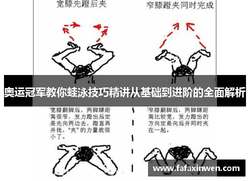 奥运冠军教你蛙泳技巧精讲从基础到进阶的全面解析